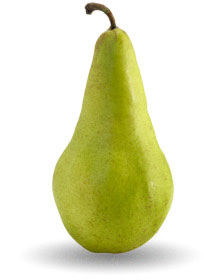 concorde_pear