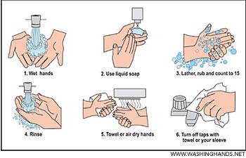 Step 1. Wet hands Step 2. Use liquid soap Step 3. Lather, rub, and count to fifteen Step 4. Rinse Step 5. Towel or air dry hands Step 6. Turn off taps with towel or sleeve
