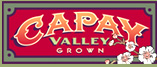 Capay Valley Collaborative Seeks Patron: Support the Legendary Capay Valley Farm Community