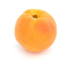 apricot2_lg