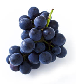 black_grapes_lg