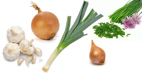 Garlic, onion, leek, shallot, chives 