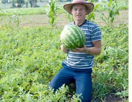 watermelon_fiield_trans
