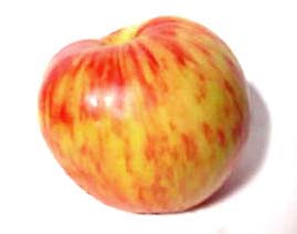 gravenstein-apple-trans