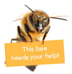 this bee needs your help!