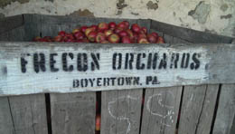 frecon-apple-box