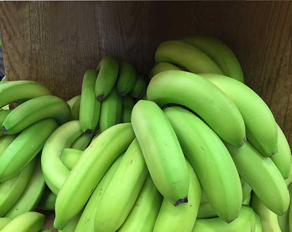 Green bananas