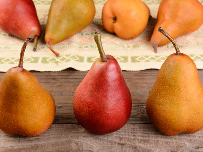 Red Comice Pears Information and Facts