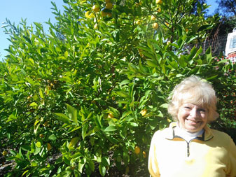 lemon lady in orchard