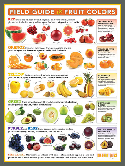 A Field Guide to Fruit Colors