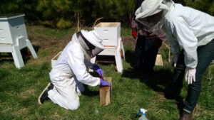 beekeepers with their hives