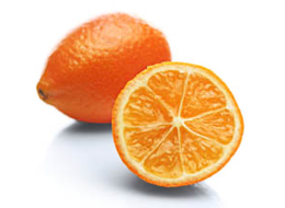 mandarinquats