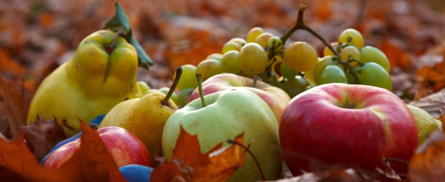 Fall Fruit Guide 2021