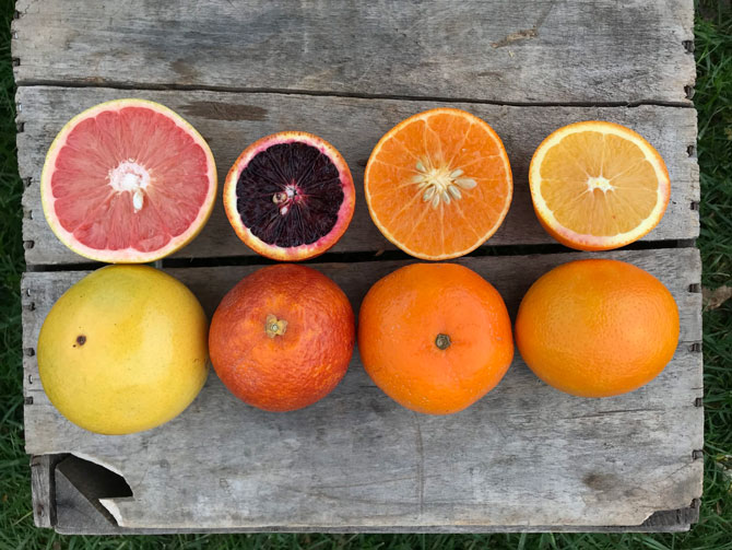 Whole and sliced citrus fruits outdoors on a wooden crate