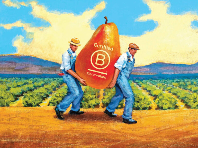 The Pear Guys carrying B Corp logo