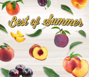 Best of Summer text with slices of summer fruit