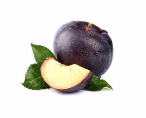 Plum White Background