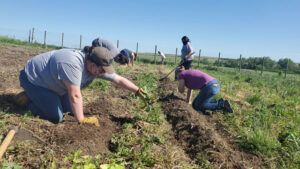 Staff at 2020 grantee, Keya Wakpala Gardens, an agricultural nonprofit in Mission, SD, tend to their 1-acre farm. 