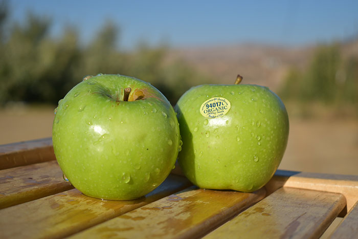 Organic Granny Smith apples from Cuyama Orchards