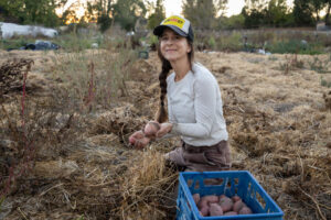 Woman farmer at Red H Farm, a community fund 2022 grantee, harvesting potatoes