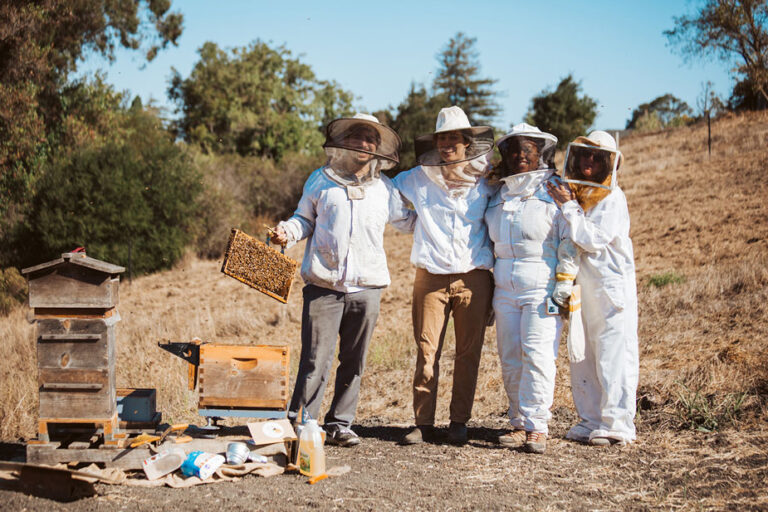 Four people in bee suites with a beehive