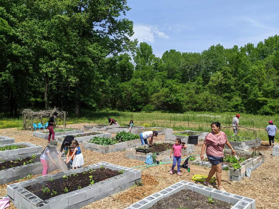 People watering and harvesting crops at Crabtree Farms