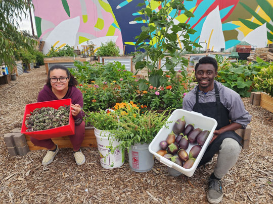 farms holding harvested produce at 2023 grantee farm Sowing Seeds of Change
