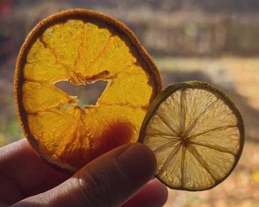 dried citrus fruit rings