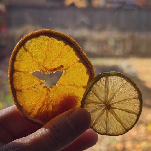 dried citrus fruit rings