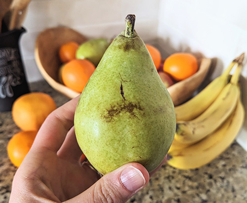 flawed fruit pear