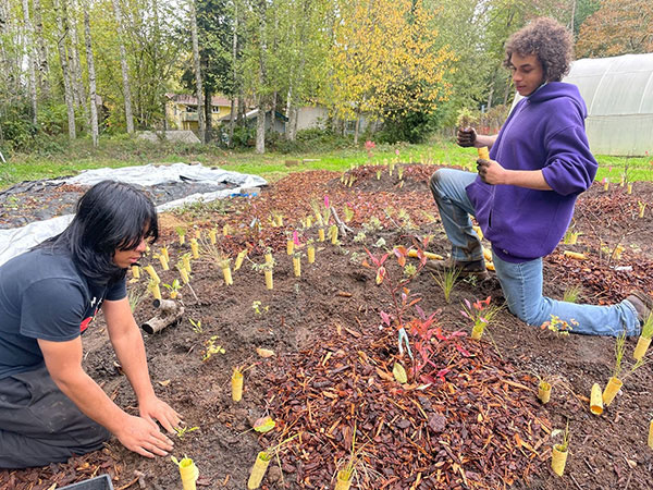 GruB farm grantees planting