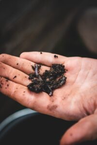 hand holding compost and worm