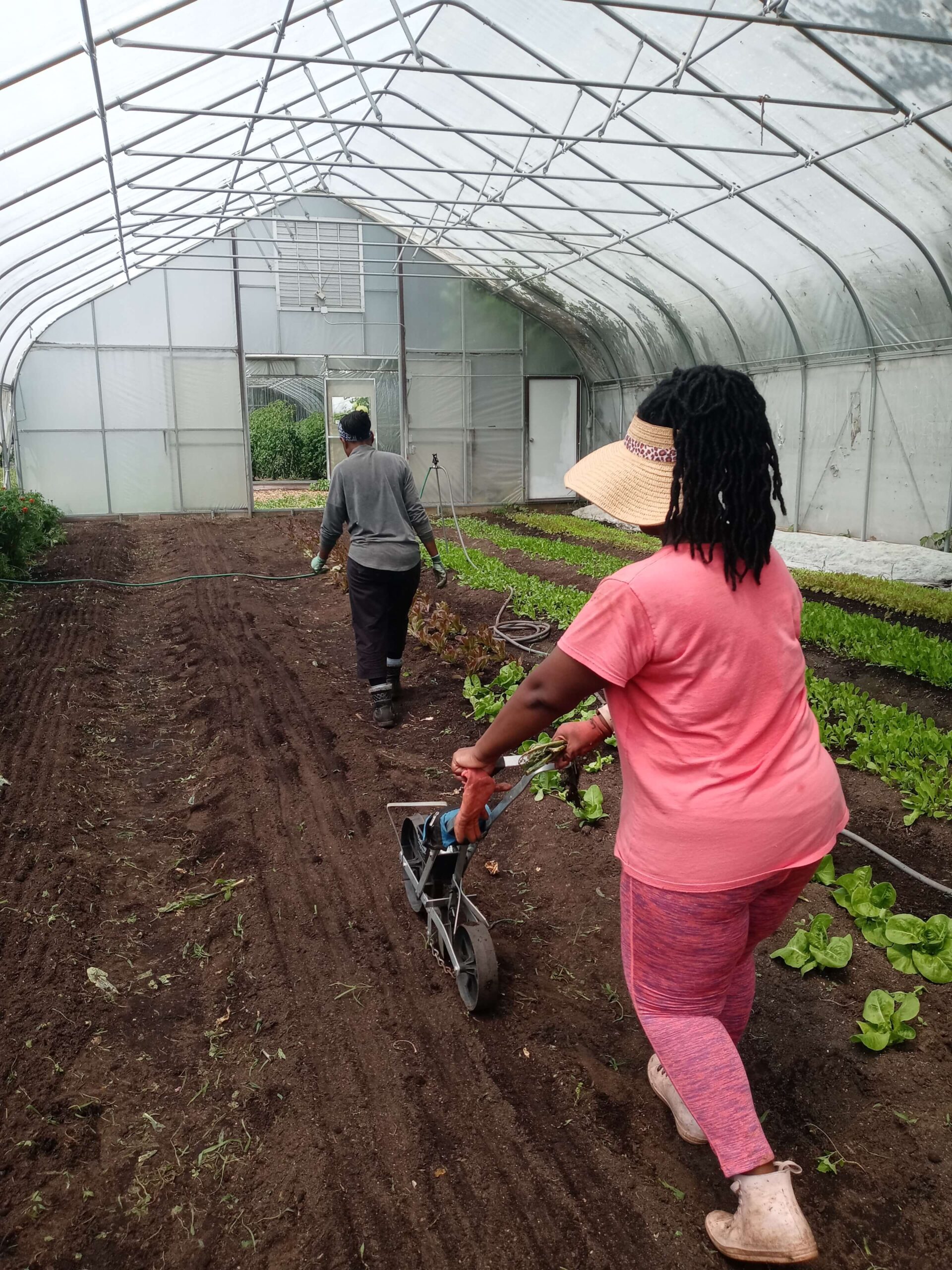 The FruitGuys Community Fund 2024 Farm Grantees Announced - The FruitGuys