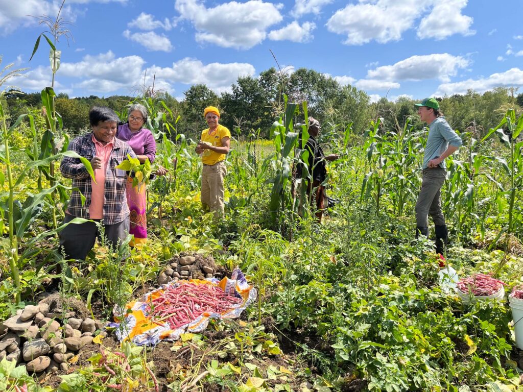 Farmers in a field