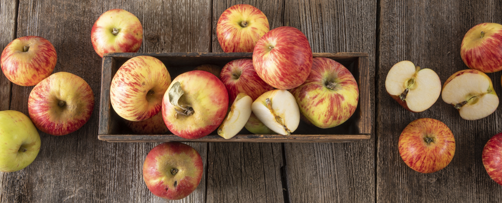 Gravenstein apples on display