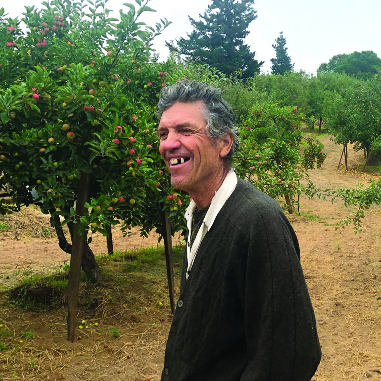 Smiling man in apple orchard