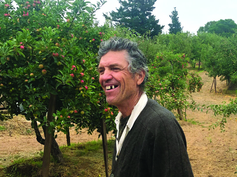 Smiling man in apple orchard