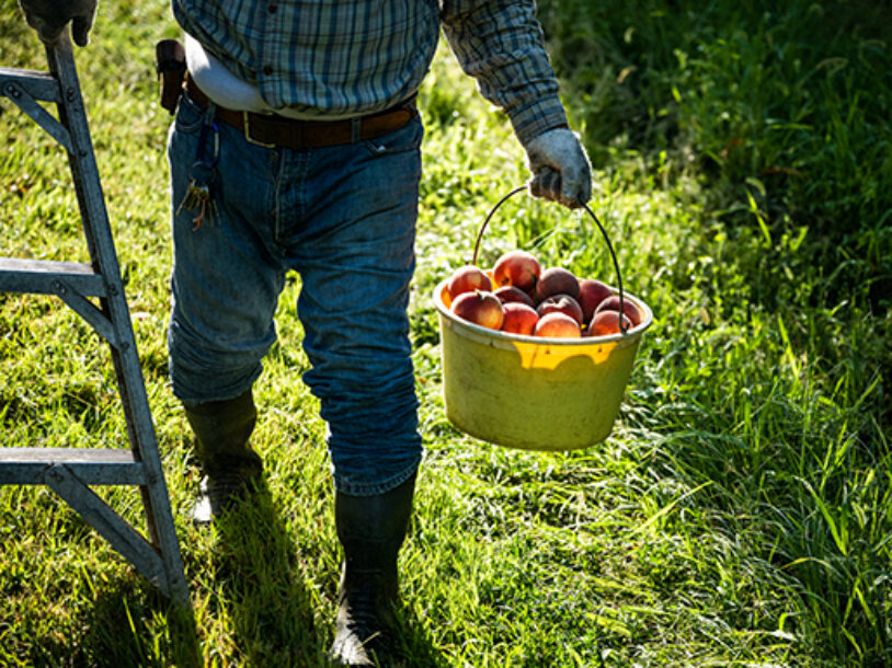 How I'm Gathering the Flavors of Summer