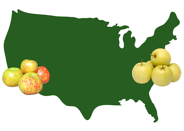 US map showing Gravenstein apples in the West and Ginger Gold apples in the East