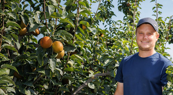 Man standing in front of Asian pear trees