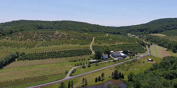 Farm and orchards arial view