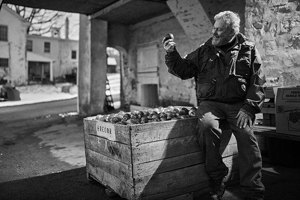 Man sitting on apple crate holding apple