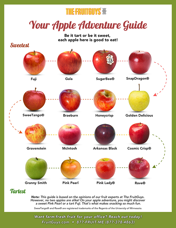 Your Apple Adventure Guide Be it tart or be it sweet, each apple here is good to eat! Sweetest Fuji Gala SugarBee® SnapDragon® Golden Delicious Honeycrisp Braeburn SweeTango® Gravenstein McIntosh Arkansas Black Cosmic Crisp® Rave® Pink Lady® Pink Pearl Granny Smith Tartest Note: This guide is based on the opinions of our fruit experts at The FruitGuys. However, no two apples are alike! On your apple adventure, you might discover a sweet Pink Pearl or a tart Fuji. That’s what makes snacking so much fun. SweeTango® and Rave® are registered trademarks of the Regents of the University of Minnesota. Want farm-fresh fruit for your office? Reach out today! FruitGuys.com | 877-FRUIT-ME (877-378-4863)