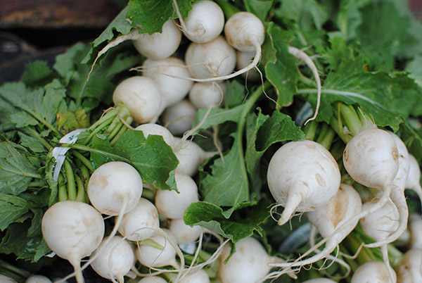 a pile of white turnips