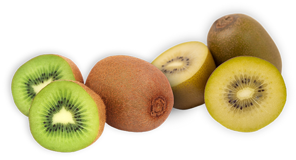 green and gold kiwi fruits, whole and sliced