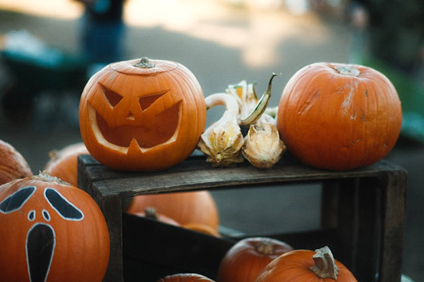 Painted and carved pumpkins and squash on display