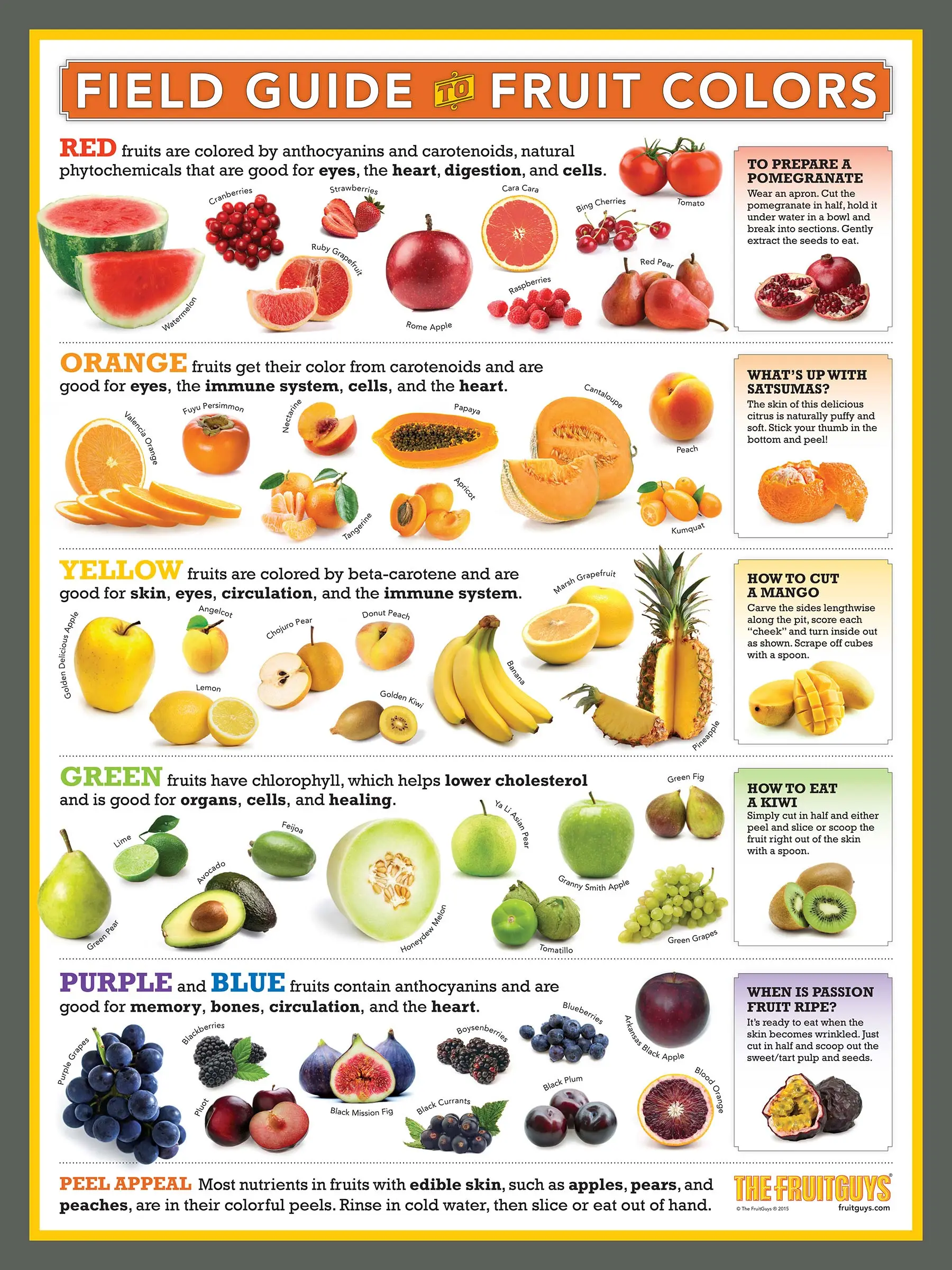 A Field Guide to Fruit Colors