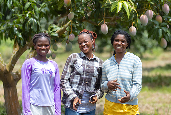 Smiling women in a fruit grove