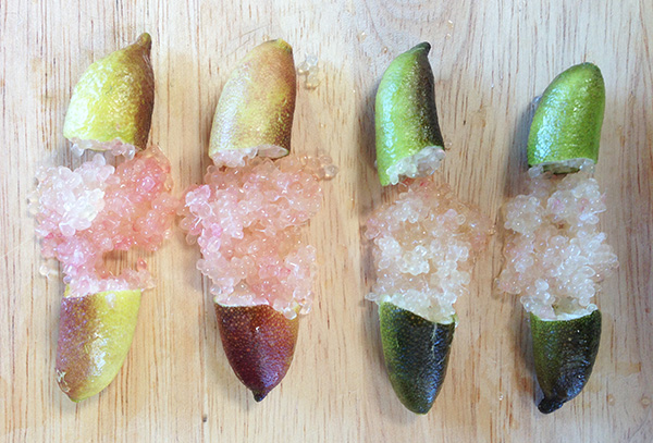 Finger limes of different varieties split open to show pearls