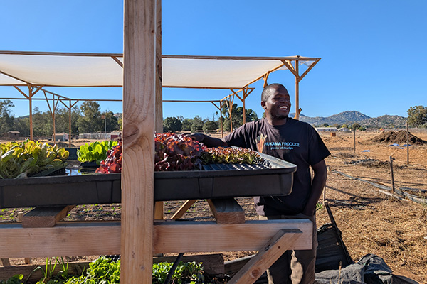 Smiling micro farmer standing beside trays of lettuce